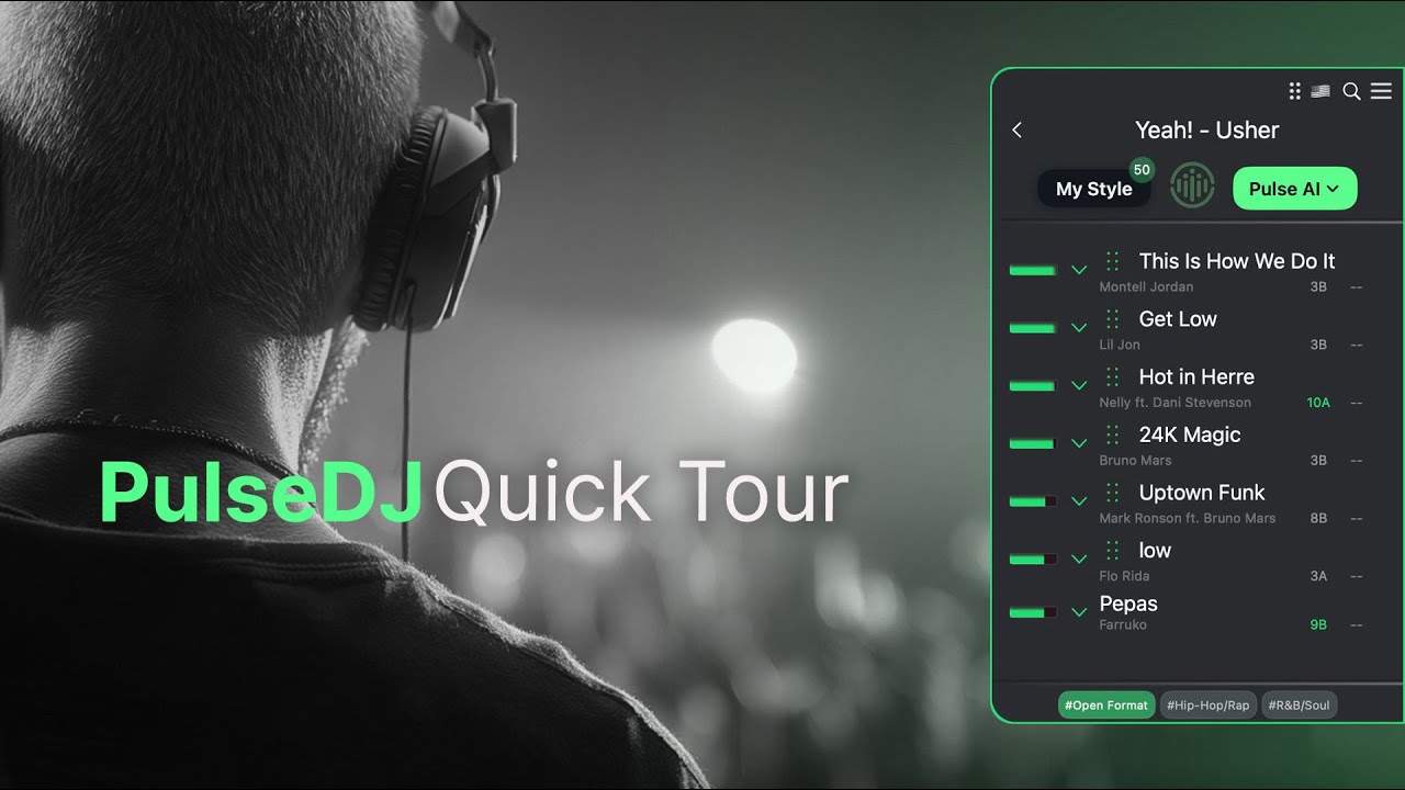 PulseDJ Copilot - Quick overview