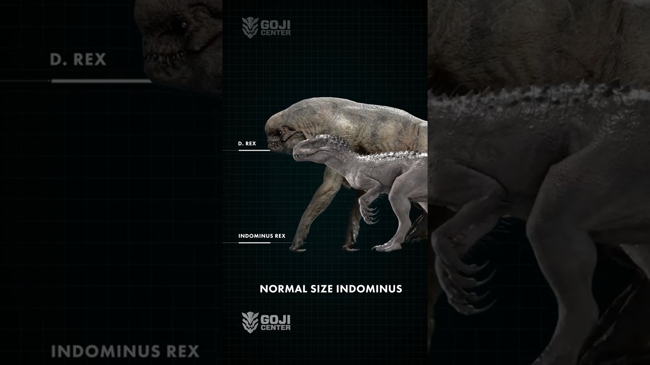 Сравнение размеров взрослых Индома и Дистортуса Рекса #jurassicworldrebirth