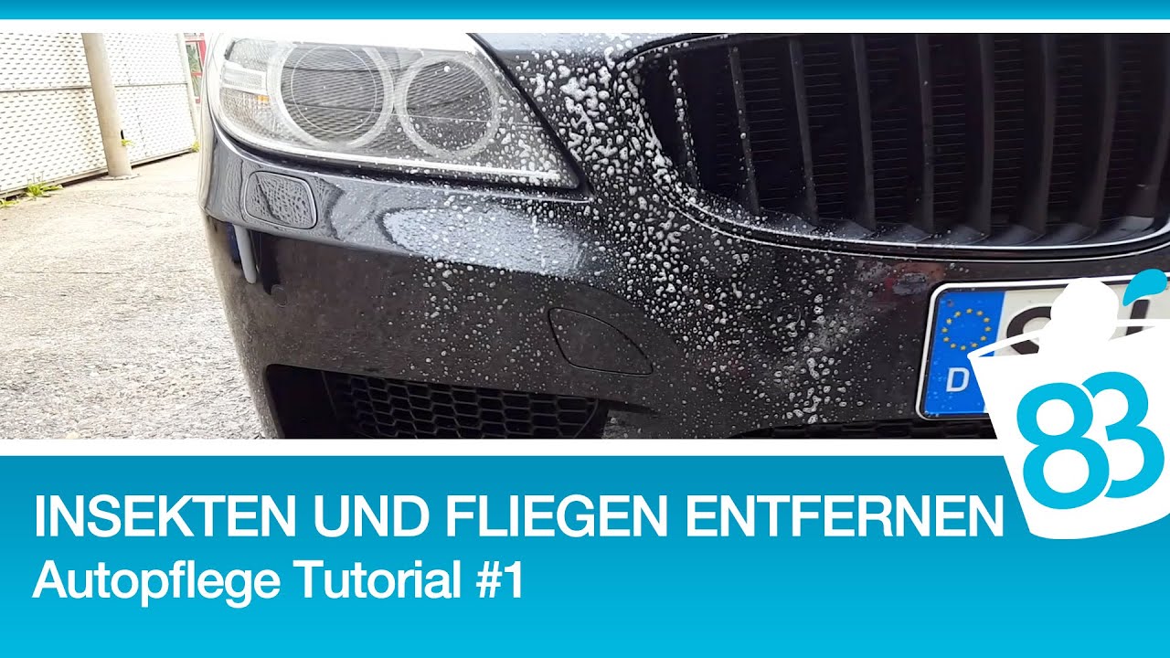 83metoo - Insekten und Fliegen entfernen vom Autolack - Autopflege Tutorial #1