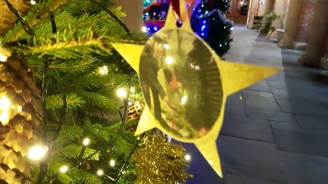 Friends Of Newark Cemetery Christmas Tree Were One Of Many On Display in The Buttermarket