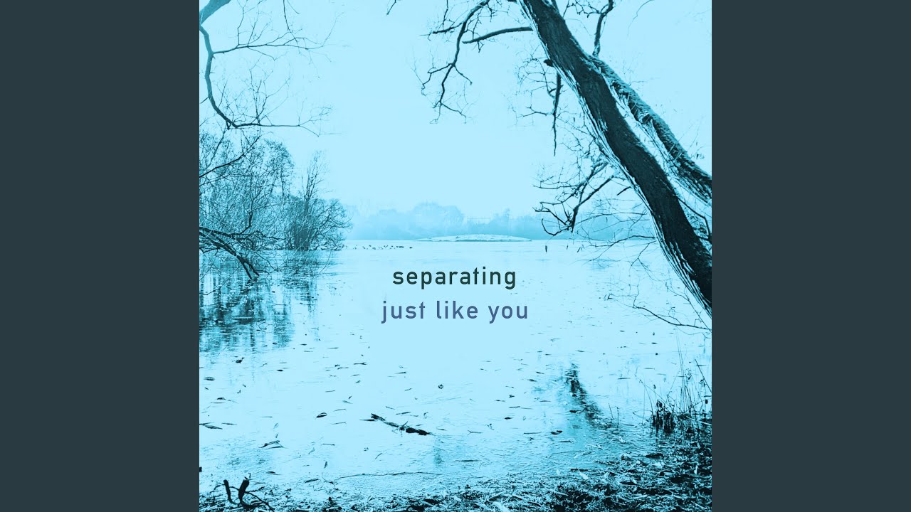 Just Like You