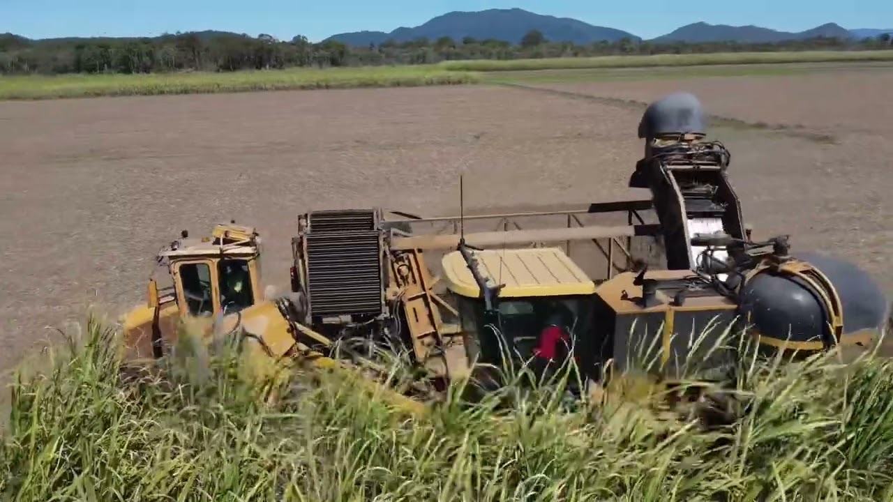 Far North Queensland sugarcane harvesting cameco harvester with Big-Foot haulouts