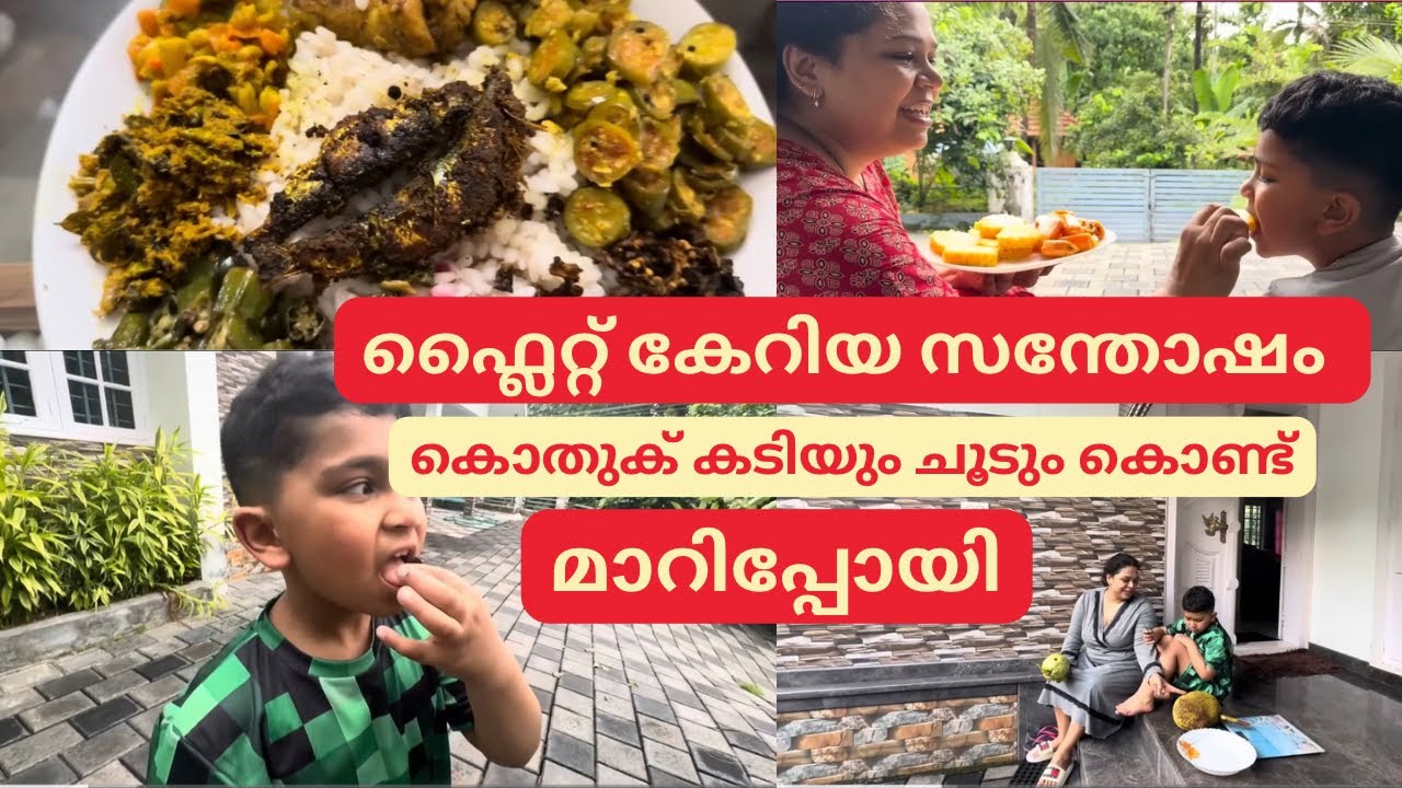 എല്ലാവരും ഇല്ലാത്തതിന്റെ സന്തോഷക്കുറവിൽ ജോണിക്കുട്ടി #finlandmallu #malayalam #familyvlog #vacation