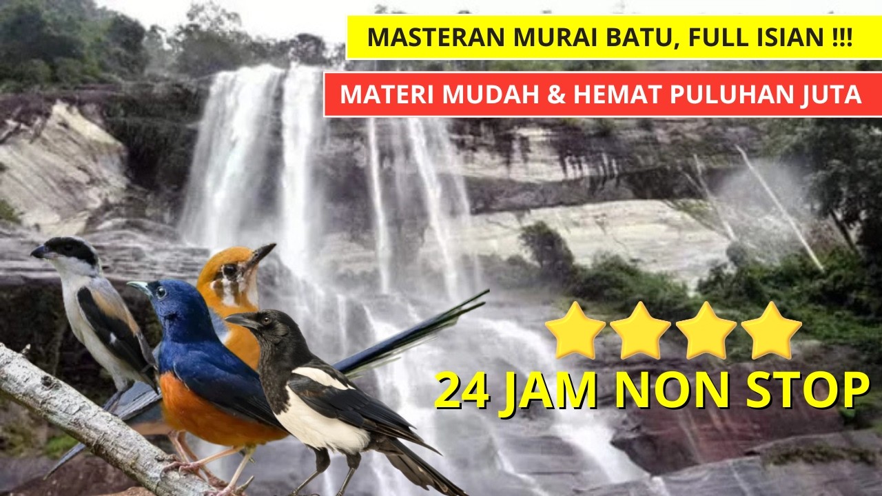 MASTERAN MURAI BATU FULL ISIAN TEMBAKAN MATERI MUDAH