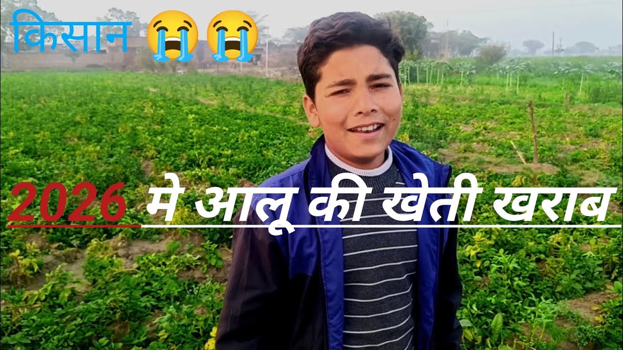 2026 में आलू की खेती खराब हो गया 😭😰| kisaan की फसल बीमा | @YashfunnyTv