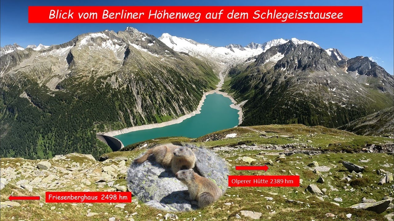 Bergtour: Friesenberghaus 2498 hm - Olpererhütte 2389 hm im Zillertal.