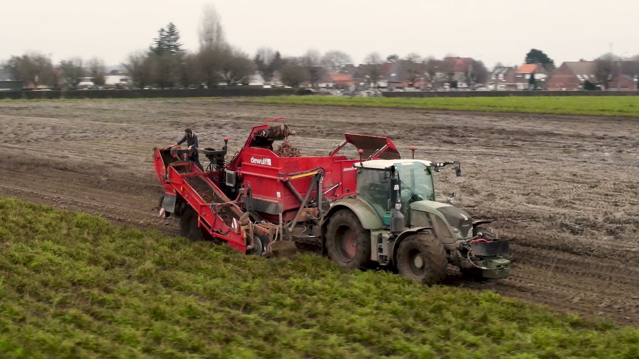 Arrachage de carottes 2021 en condition difficiles - Fendt 716 - Dewulf GBII
