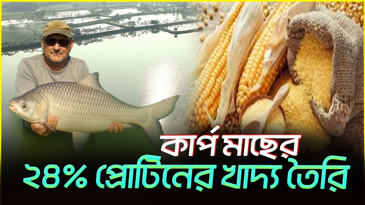 কার্প মাছের ২৪% প্রোটিনের হাতে বানানো খাদ্য তৈরির ফর্মুলা || Shakib Agro || সস্তায় মাছের খাদ্য