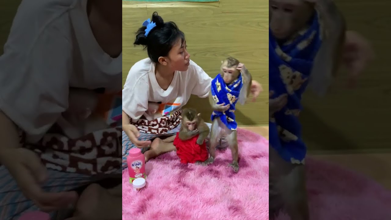 Loving Care for Baby Monkey | Sweet Monkey Bonding Moments 🐒💕