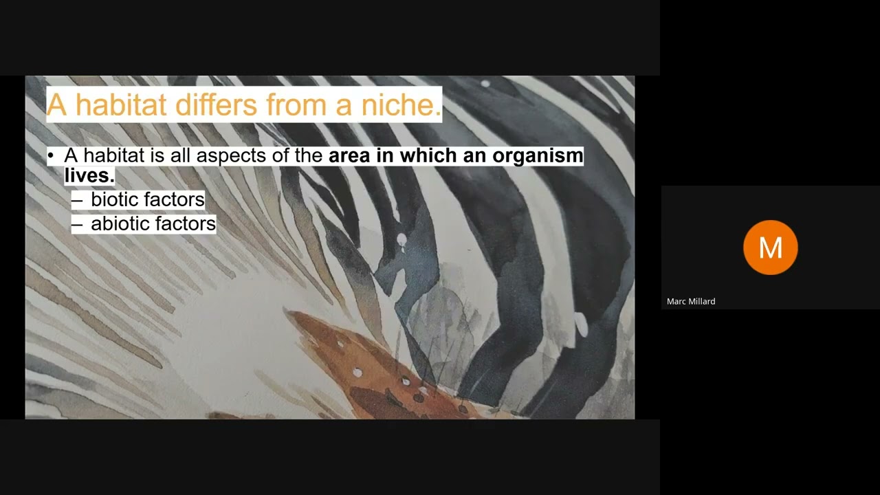 Unit 2 Part 3a Presentation