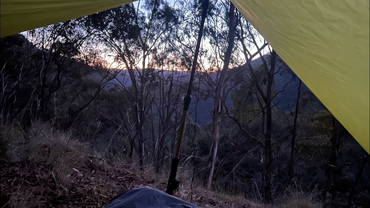 Overnight pack hunt into NSW SF