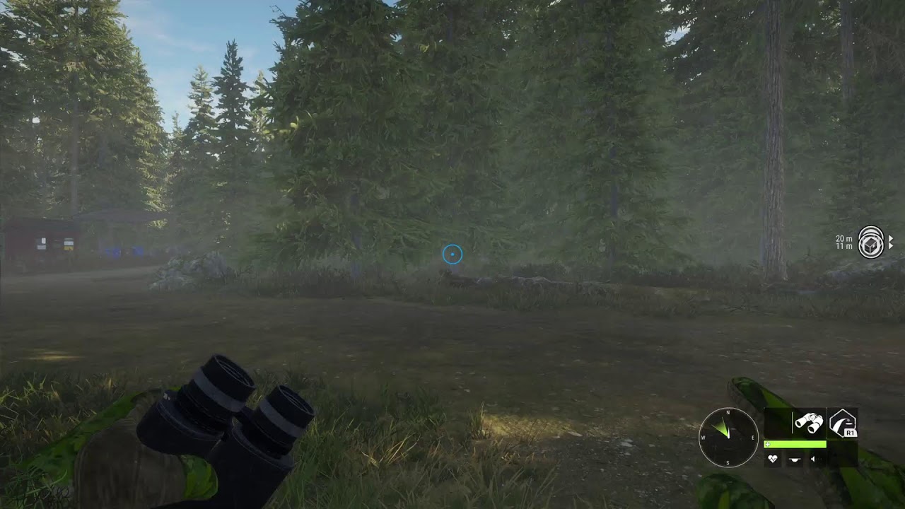 Ps5 Call of the Wild