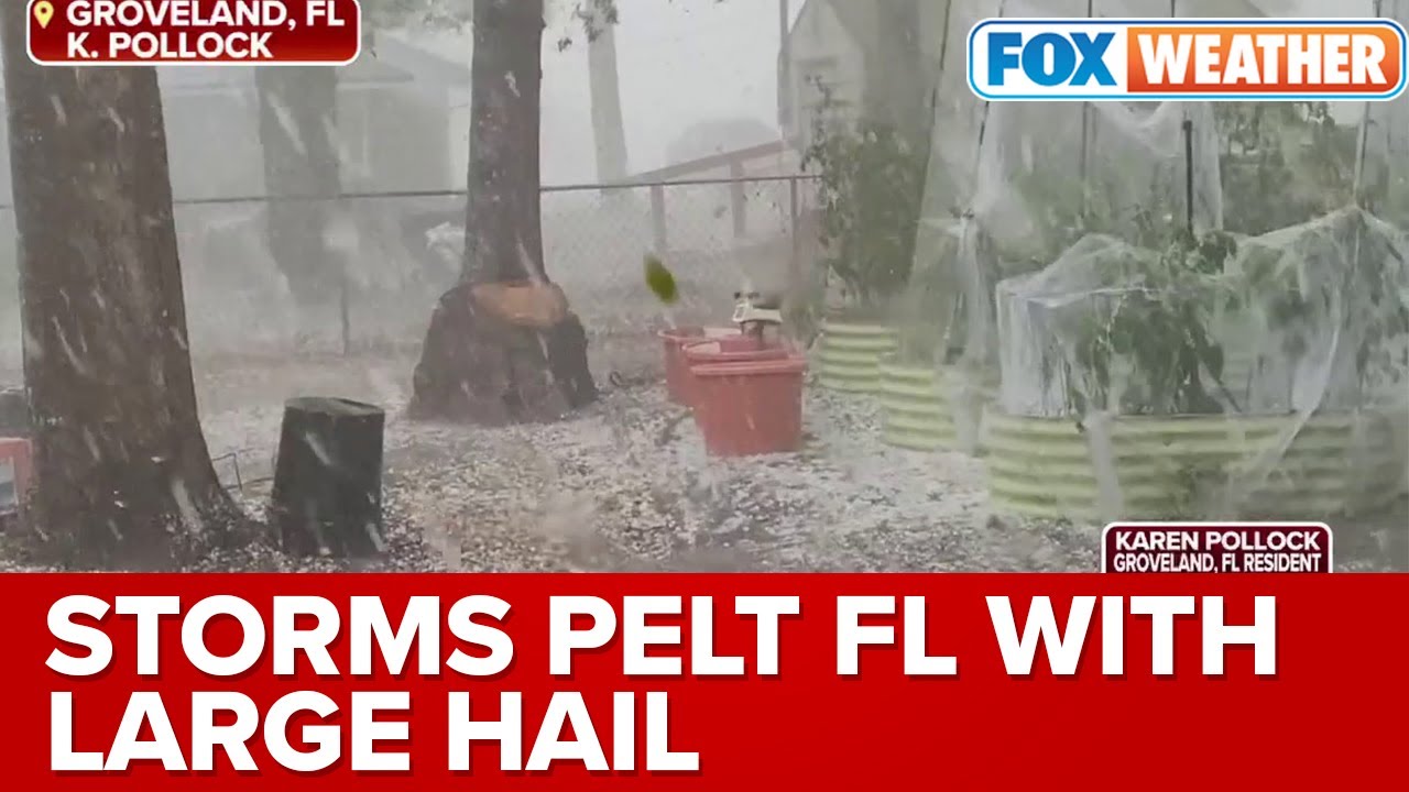 Florida Resident Captures Hail Battering Orlando-Metro Area