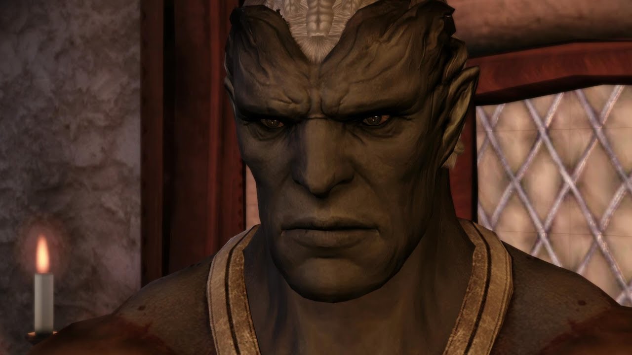 Talking to Sten | Dragon Age: Origins