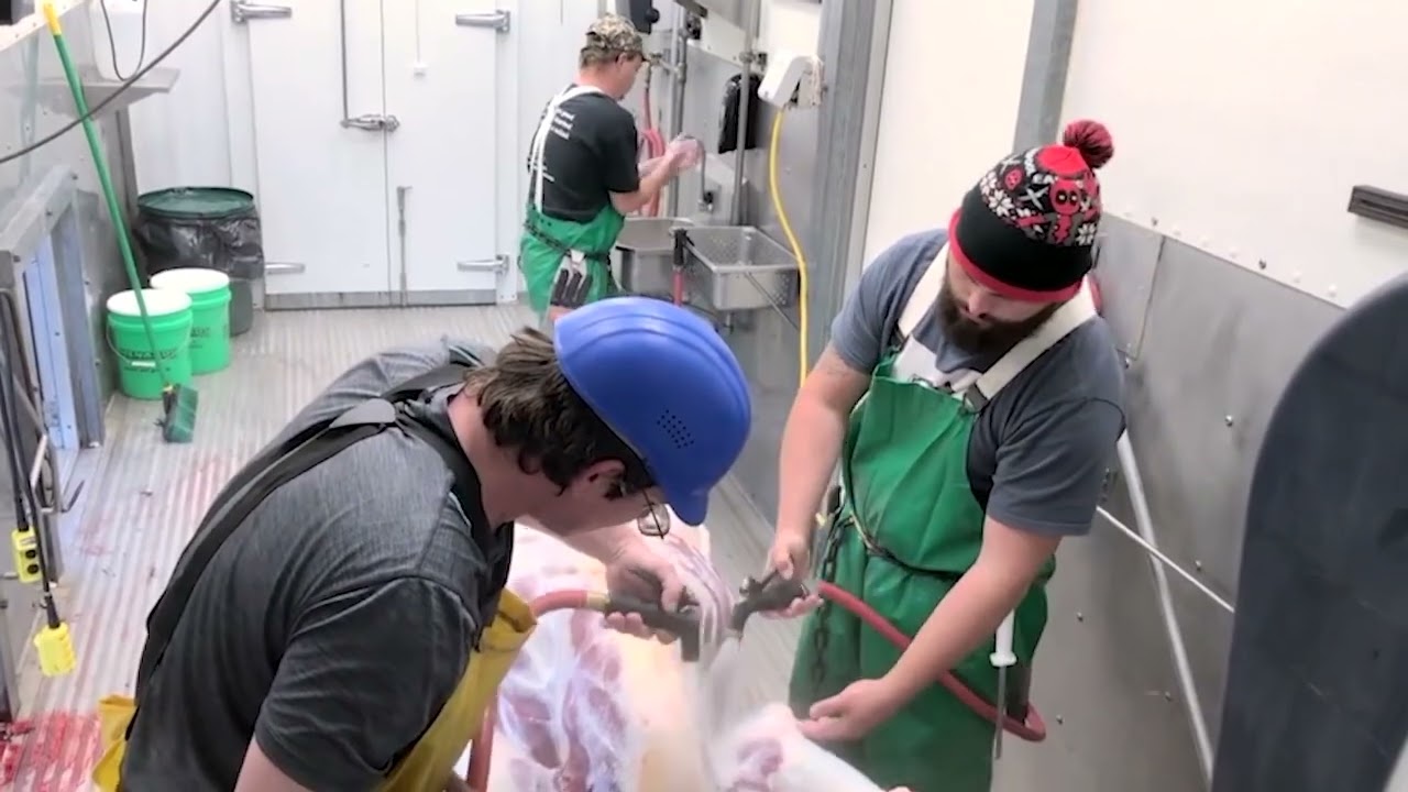 Wild Idea Buffalo Co.