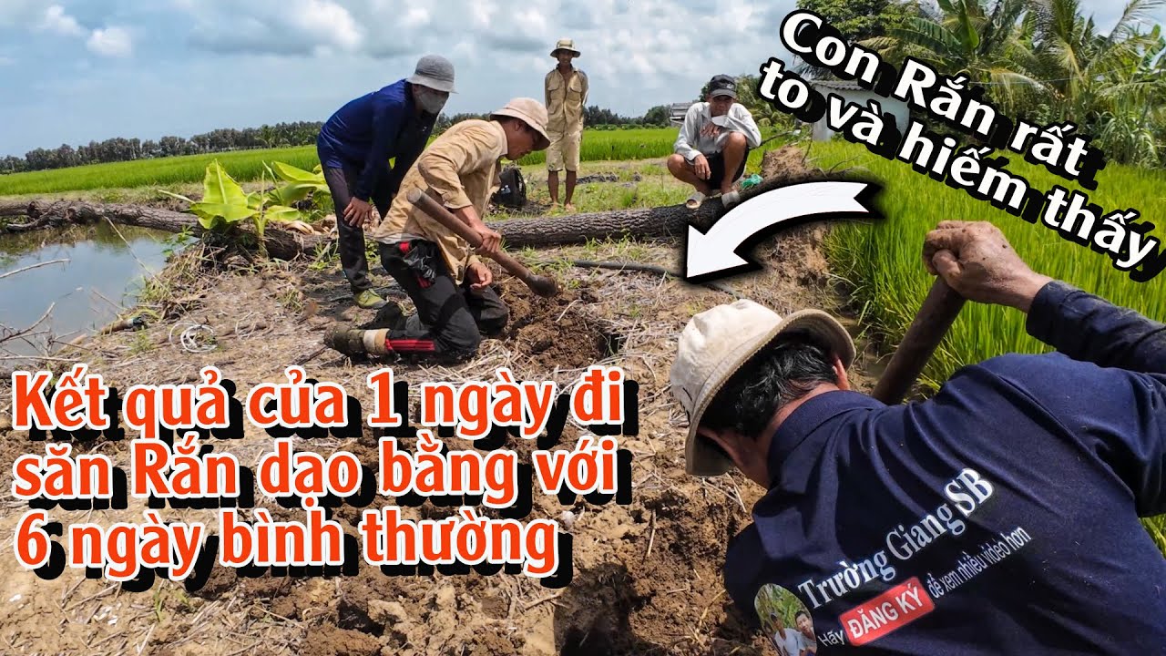 Kỷ lục của một ngày đi săn Rắn với những địa điểm đặc biệt | TGSB #960