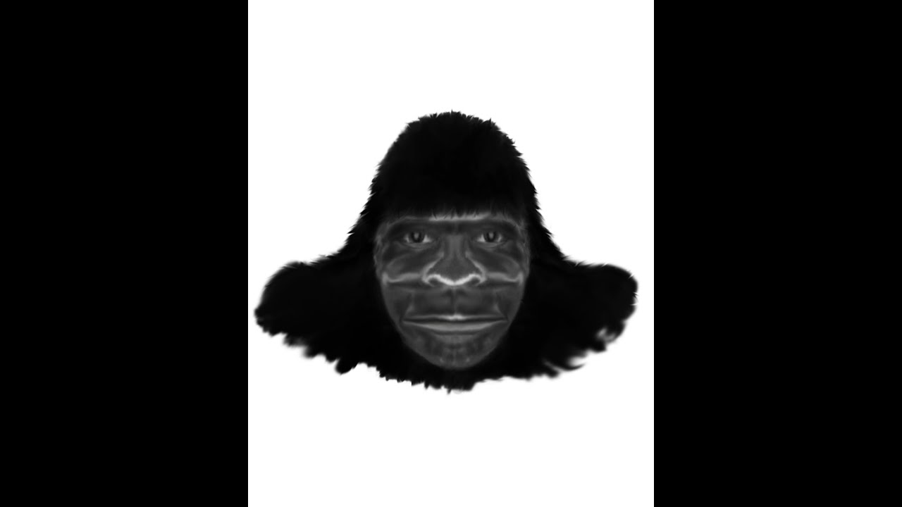 Sasquatch Awareness Project - Signs of their Presence