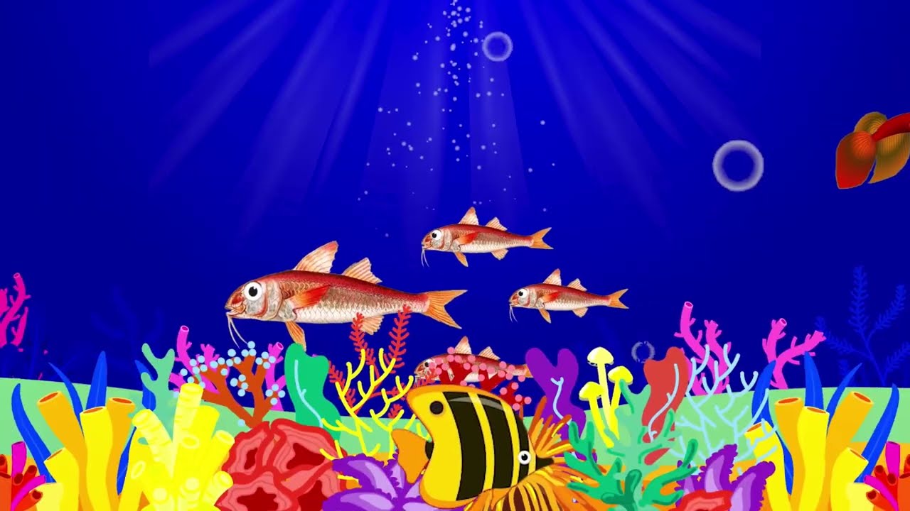 🐟 Baby Sleep Music with Beautiful Fish 🐠 3 Hours Relaxing Lullaby #15