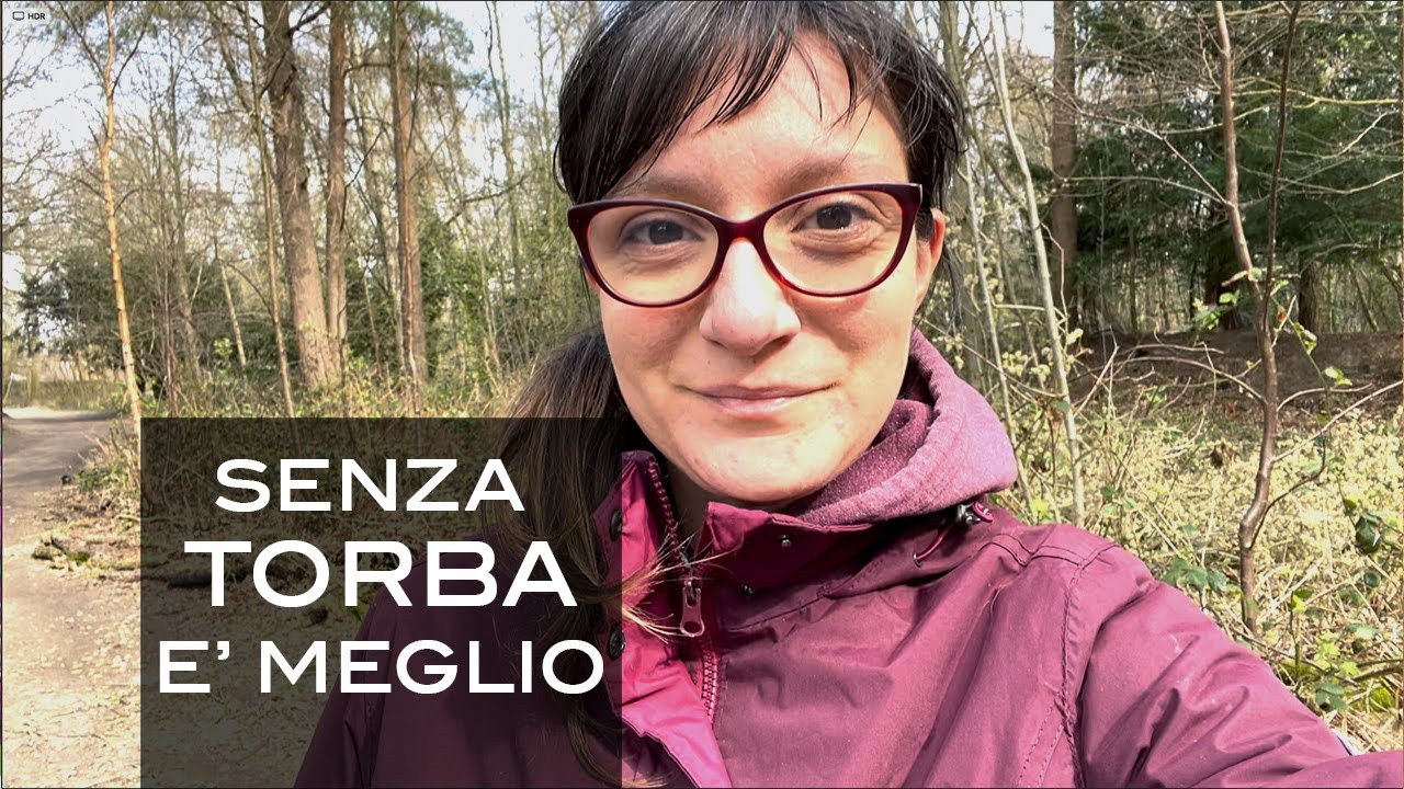 Torba: Che cos'è? - Perchè 