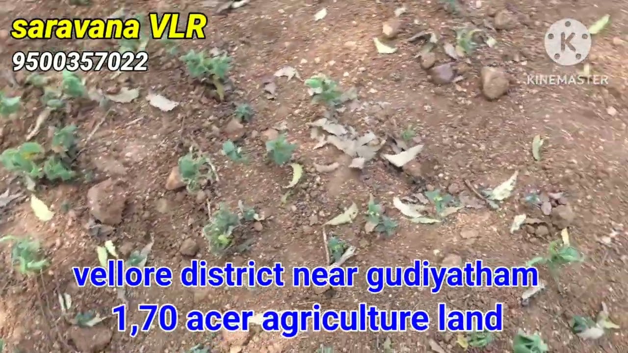 Vellore district near gudiyatham 