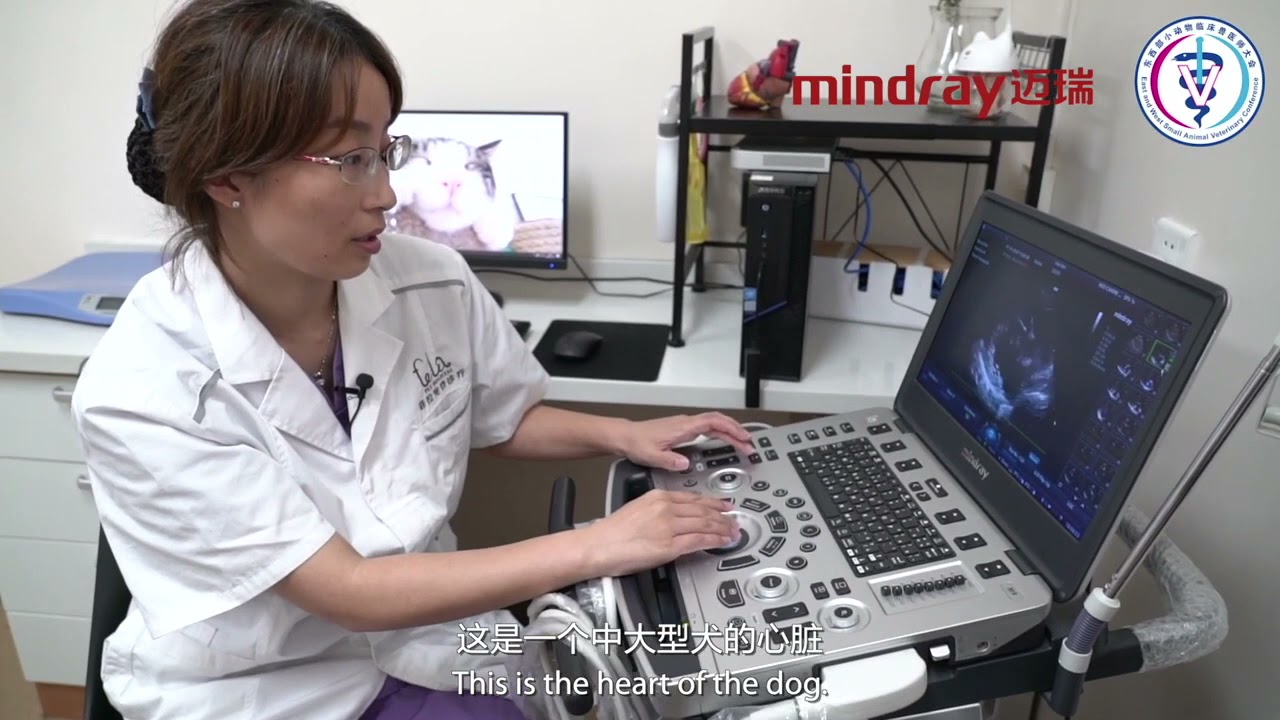 M9 Vet in clinical practice | Mindray