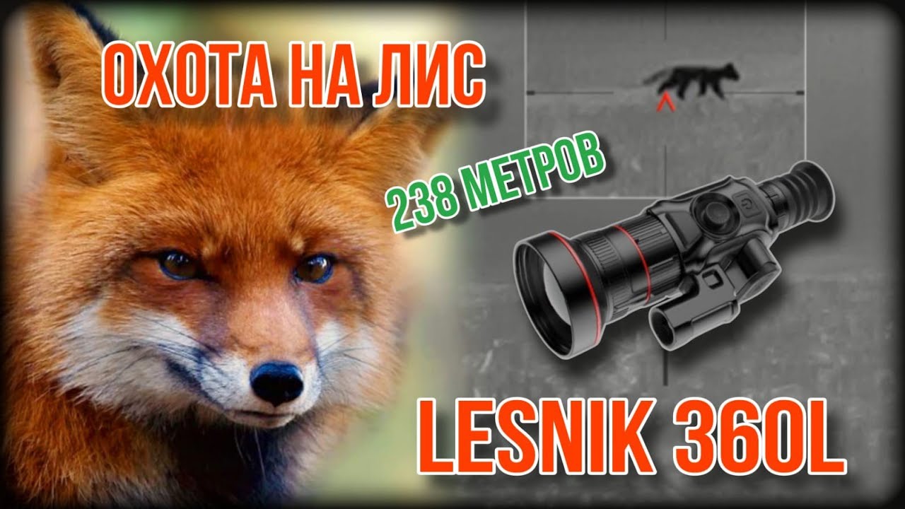 ОХОТА НА ЛИС В ГОН, КАРАБИН ЛОСЬ 145 -223rem ,Lesnik 360l.