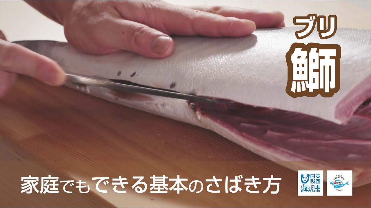 鰤（ぶり）のさばき方 - How to filet Amberjack -｜日本さばけるプロジェクト（海と日本プロジェクト）