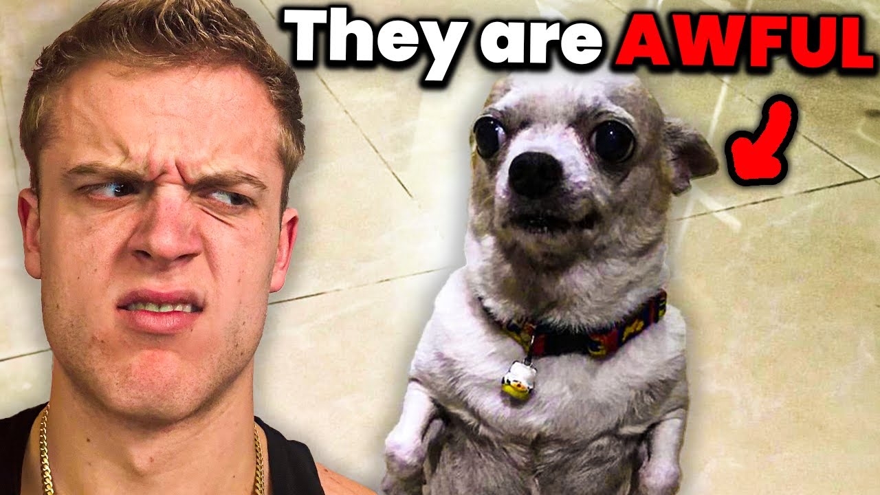 How People RUINED Dog Breeds.