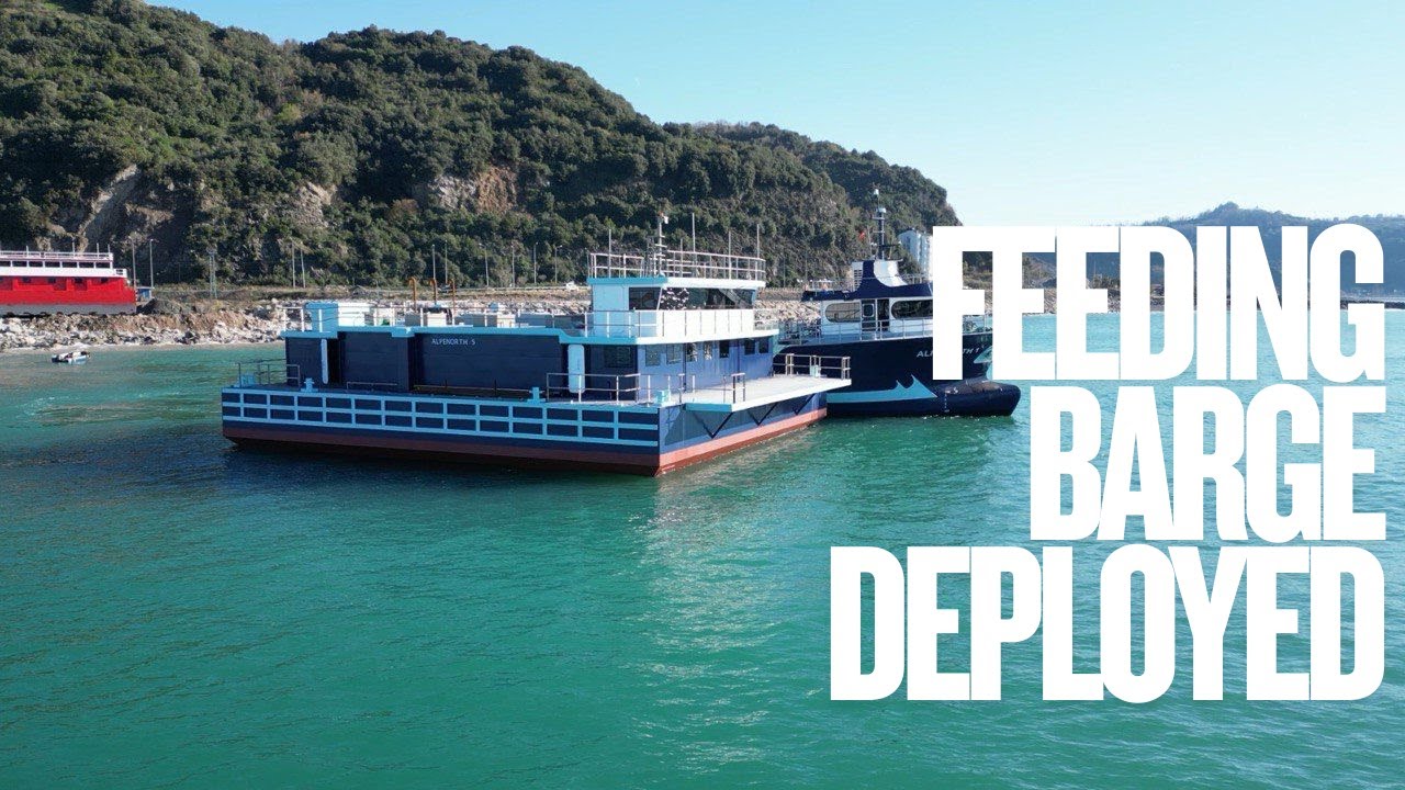 Alpenorth Launches Feeding Barge!
