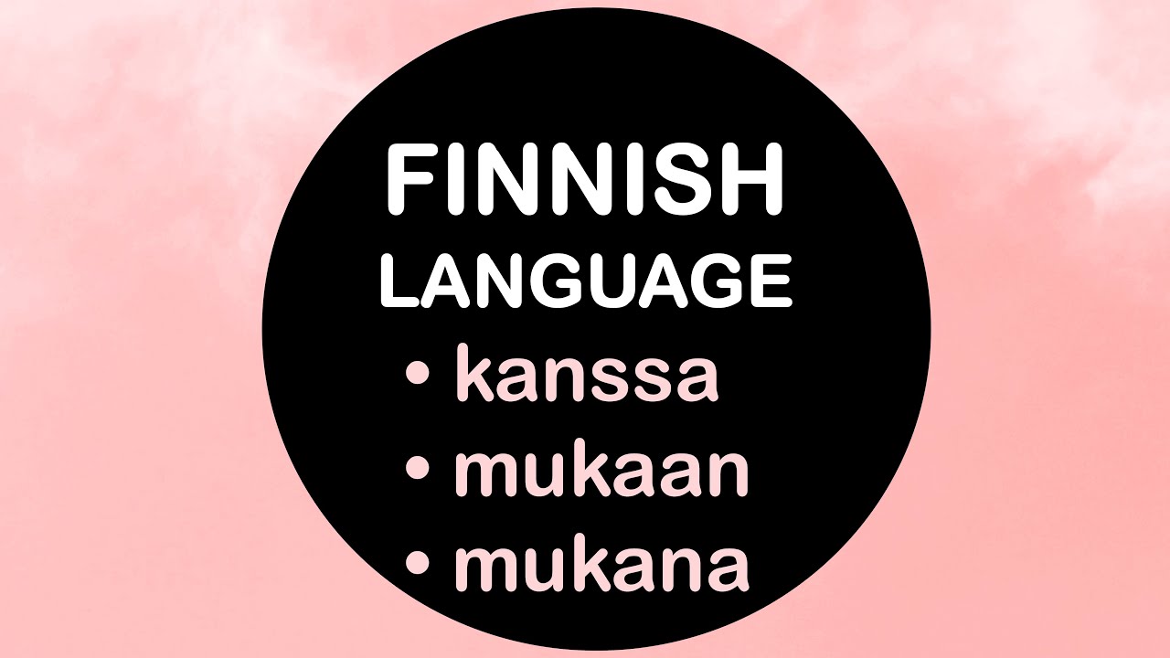 LEARN FINNISH | KANSSA, MUKAAN, MUKANA (HOW TO SAY 