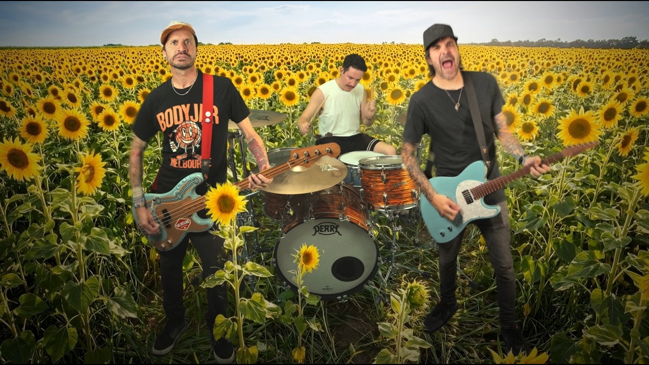 LRF - Sunflowers (Official Video)