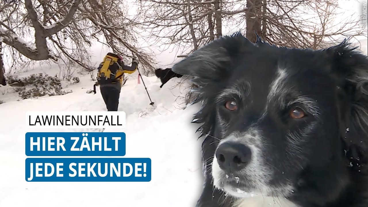 SO Repo | Die lebensrettende Arbeit der Lawinenhunde