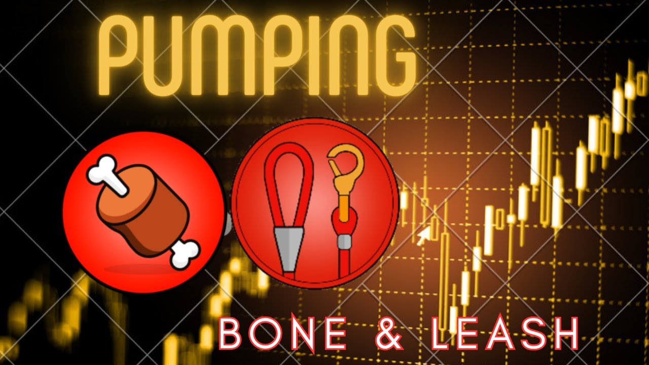 ТРЕНД BONE №1 НА CMC: УБИЙСТВЕННЫЙ НАКАЧИВАТЕЛЬ DOGECOIN LEASH