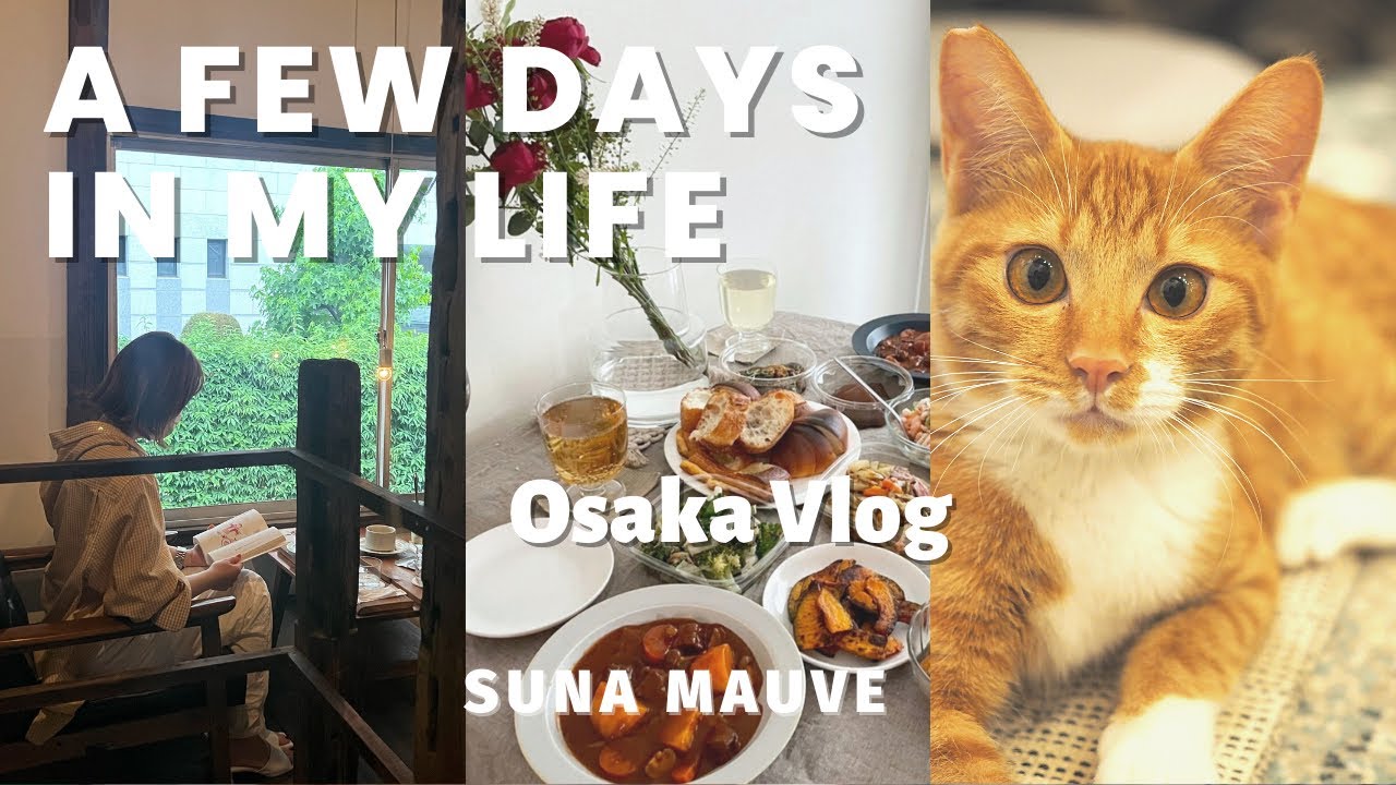 VLOG : A Few Days In My Life | Osaka | Cooking | Book Cafe | Save Cat Cafe | ビーフシチュー| 福島区散策 | 保護猫カフェ