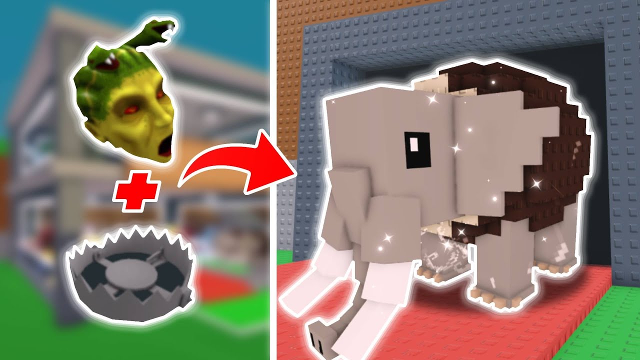 ใช้หัวเมดูซ่าและกับดักหมี !! ฝึกตัวเองเป็นปรมาจารย์หัวขโมย : Steal a brainrot Roblox