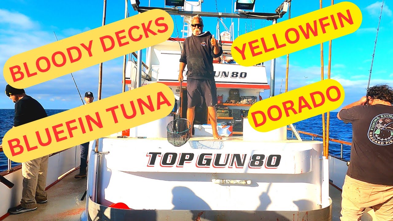 TOPGUN 80 SPORTFISHING H&M Landing San Diego CA. Epic Bluefin & Yellowfin Tuna LIMITS For Everyone