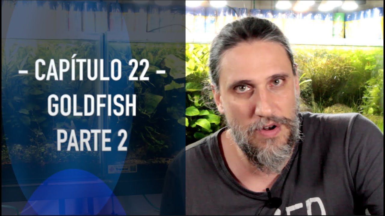 ACUARIO DESDE CERO, Goldfish Parte 2, Cap 22 - ACUAMANUS