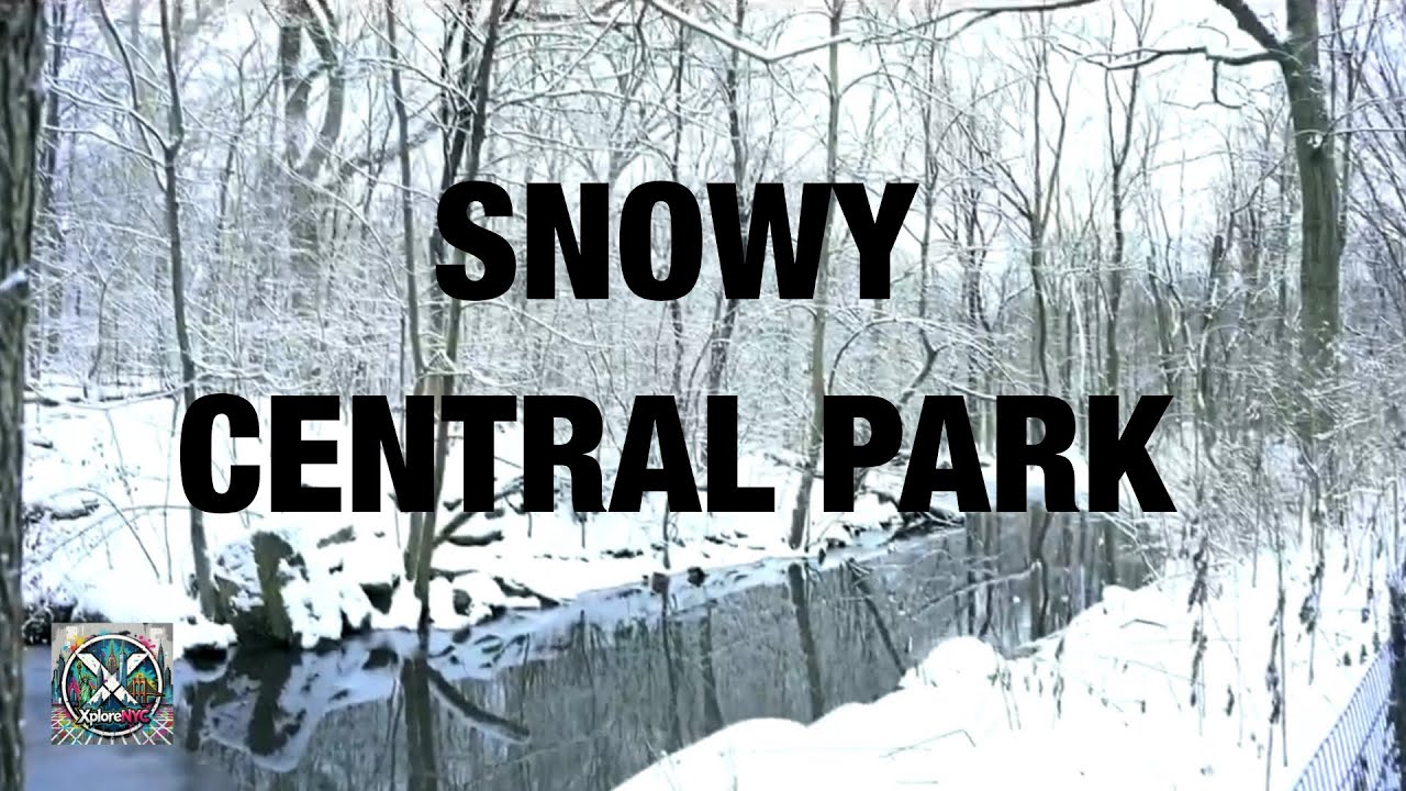 Snowy Central Park | NYC Sounds @XploreNYC 