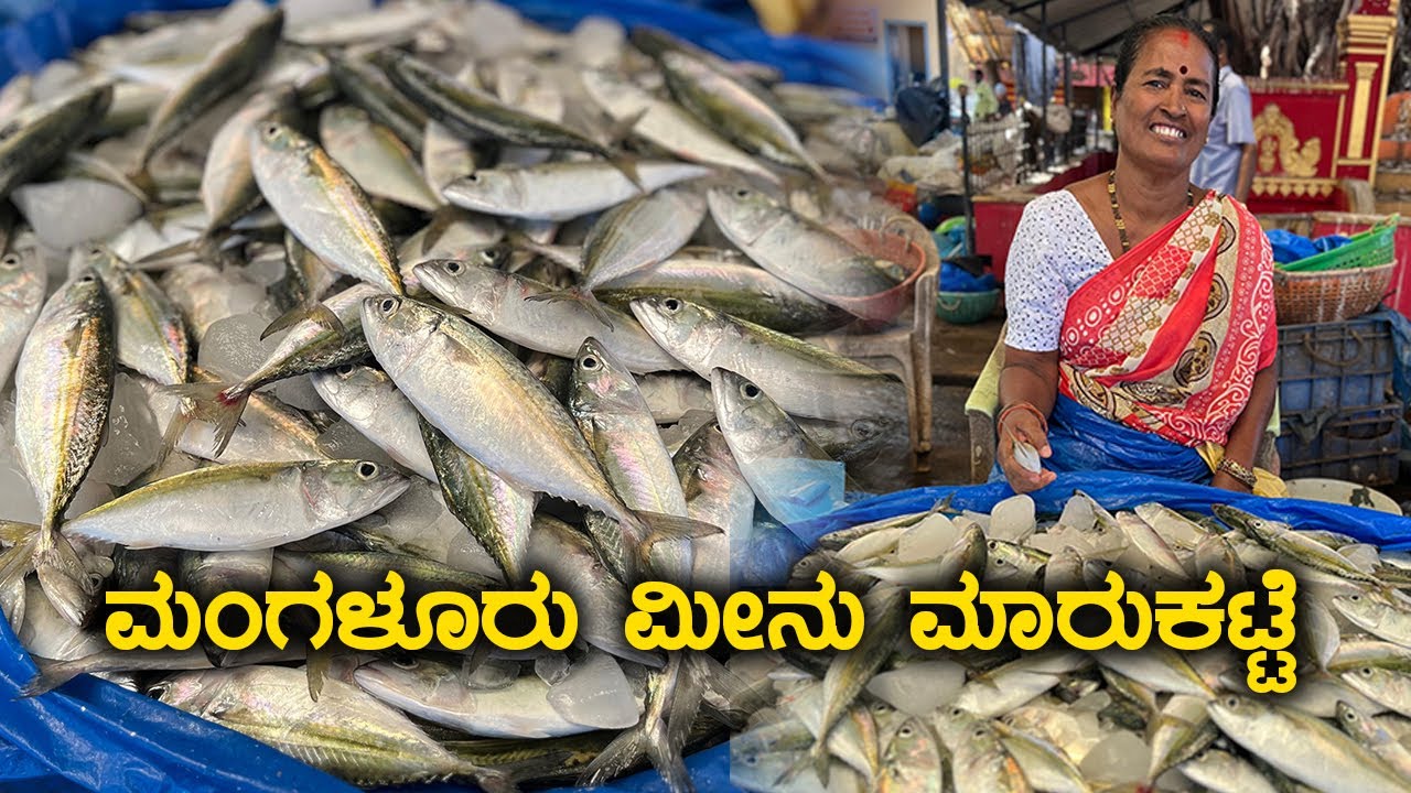 Mangalore Fish Market ಮಂಗಳೂರು ಮೀನು ಮಾರುಕಟ್ಟೆ | Kannada Vlogs