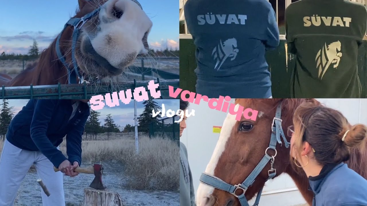 SÜVAT Vardiya Vlogu 🐴 | Selçuk Üniversitesi Veteriner Fakültesi Atçılık Topluluğu Gönüllü Vardiyamız