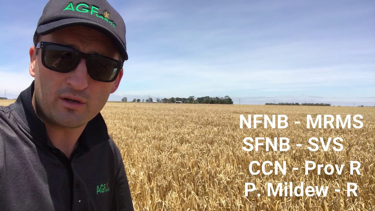 AGF Seeds Variety Update - RGT Planet Barley (125 secs)