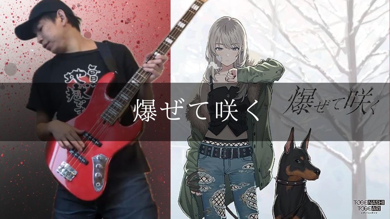 トゲナシトゲアリ - 爆ぜて咲く Bass cover 弾いてみた TAB