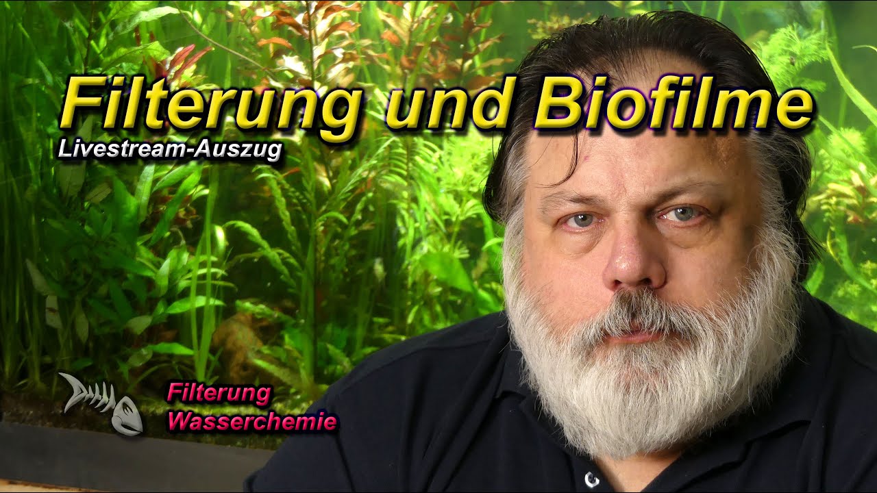 Langsame Filterung und biologische Prozesse in den Biofilmen erklärt