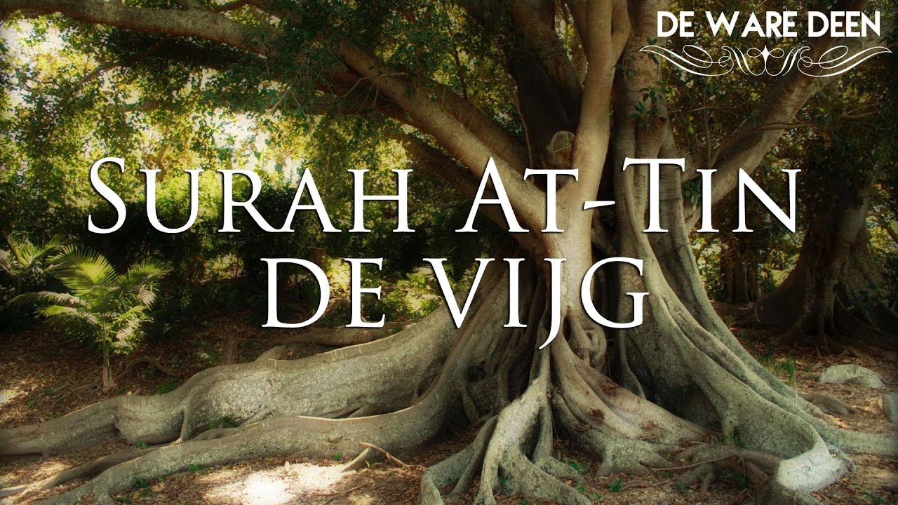 Surah At-Tin || De Vijg ᴴᴰ - #IndrukwekkendeRecitatie