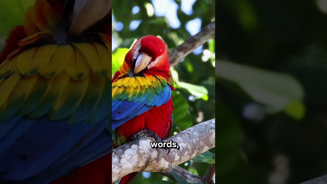 does this bird looks scary? 