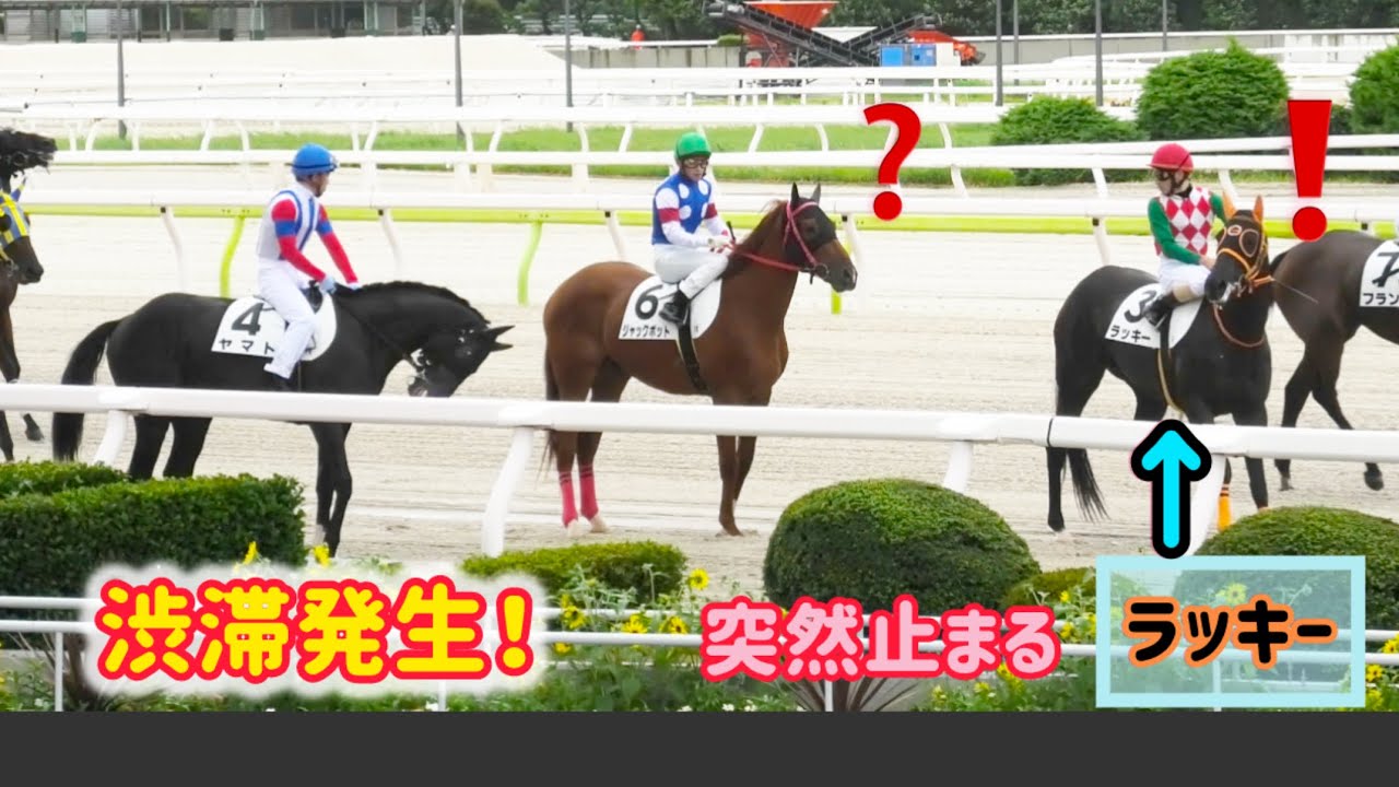 馬場入場中に突然ハッ！として止まって渋滞させちゃうラッキー