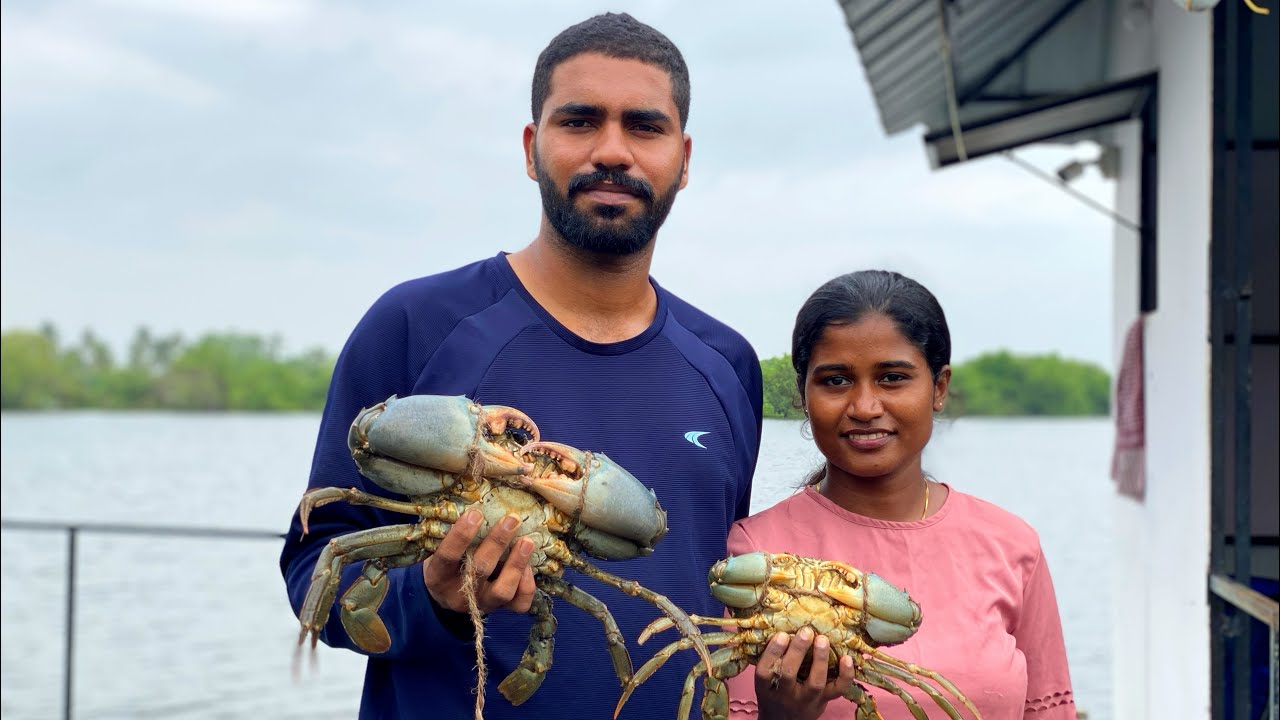 വിദ്യാർത്ഥികളുടെ ഞണ്ട് കൃഷി | Crab Fattening | Mud Crab Farming