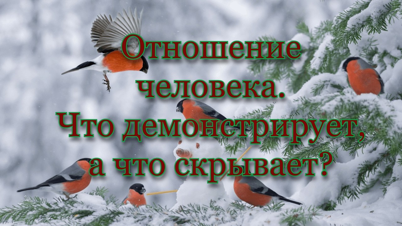 Расклад Таро. Отношение человека. Что демонстрирует, а что скрывает?