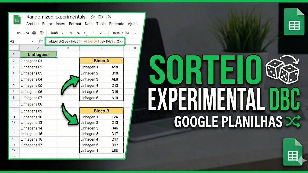 Sorteio Experimental (DBC) no Google Planilhas