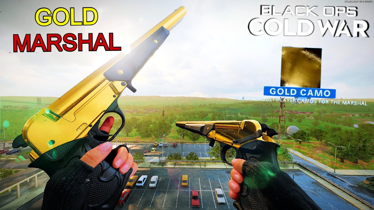 the DOUBLE GOLDEN Marshals DOMINATE Face Off | Best Marshal Class Setup (Black Ops Cold War)